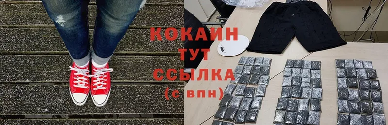 mega зеркало  закладки  Новодвинск  Cocaine Fish Scale 